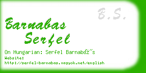 barnabas serfel business card